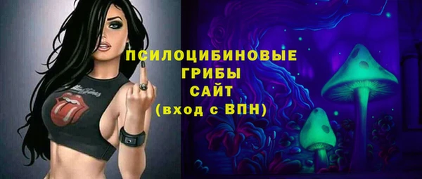 бошки Аркадак