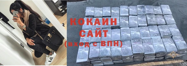 гидра Армянск